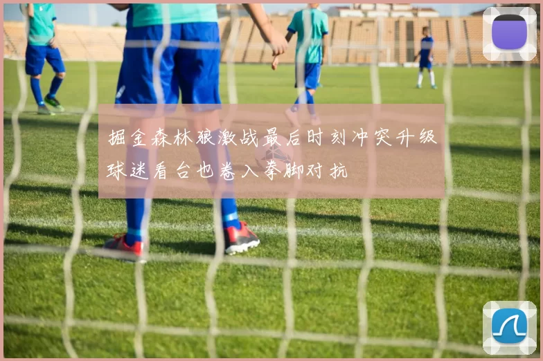 掘金森林狼激战最后时刻冲突升级球迷看台也卷入拳脚对抗